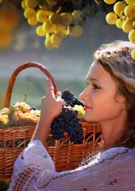 Донская лоза: Фестиваль молодого вина