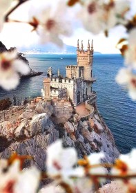 Весенний Крым: цветение миндаля