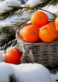 Абхазские каникулы: мандарины под снегом