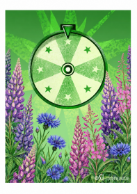 Секретный зарубежный тур - СЕЗОН 2026