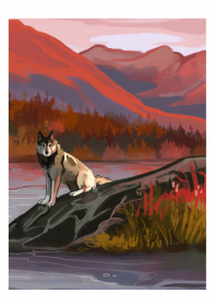 Вертолётная экспедиция на озеро Джека Лондона