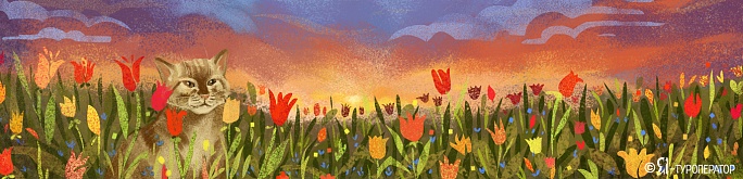 Алма-Ата: царство тюльпанов