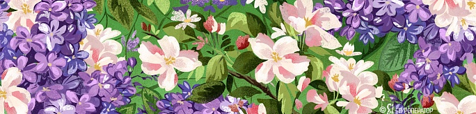 Секретный тур по России - МАЙСКИЕ ПРАЗДНИКИ